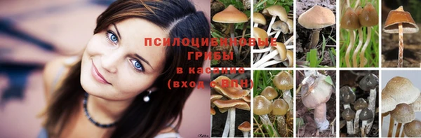 mix Алексин