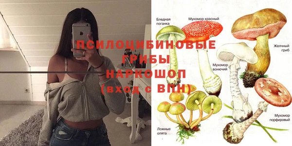 mix Алексин