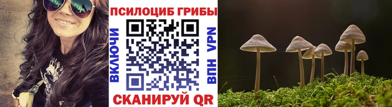 Псилоцибиновые грибы Psilocybe  OMG tor  Ленинск 