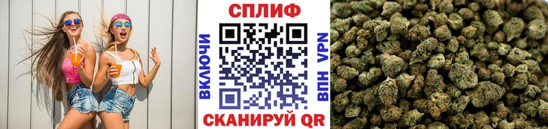 Конопля White Widow Ленинск